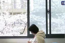 春季赏花图鉴 最美樱花教室上线 网友：动漫中的场景浮现眼前图片