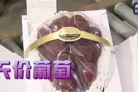 140万日元！日本“浪漫红宝石”葡萄拍出天价图片