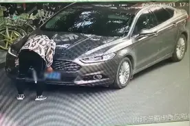 别侥幸！纸巾遮挡号牌 驾驶员被罚12分图片