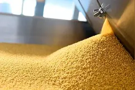 辽宁筹措163亿元保障粮食等主要农产品有效供给图片