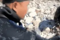 21年 他在海中捡垃圾→图片