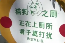 担心狗狗乱拉乱尿？这个小区的“宠物公厕”上线了图片