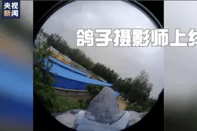 咕咕咕 鸽子摄影师上线 带你体验“飞翔”视角图片