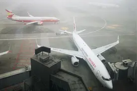 成都双流机场受大雾影响 今年入冬以来首次大面积航班延误图片