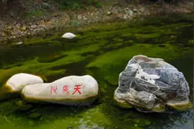 这里的石头不能捡！拿走最高罚2万图片