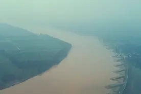 黄河滩区老村变鲤鱼塘 打卡黄河鲤鱼的N种吃法图片