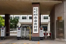 第十八届农交会将于11月在重庆举办图片