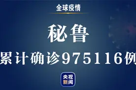 ​秘鲁新增新冠肺炎确诊病例1204例 累计确诊975116例图片
