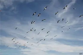 人，就是这样废掉的！这6点你占了几样？图片