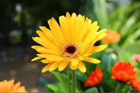 成功的秘密两个字：坚持别人不理解的坚持！早安图片