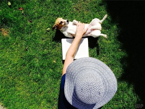 吃什么补胶原蛋白最快 2025年食补吃什么补胶原蛋白最快