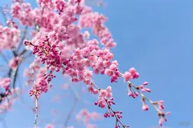 生活不容易，当你觉得容易的时候，一定是有人在替你承那份不容易图片