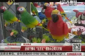 好看好玩又好吃 济南千佛山“九月九”重阳山会 将于明天正式开始视频封面