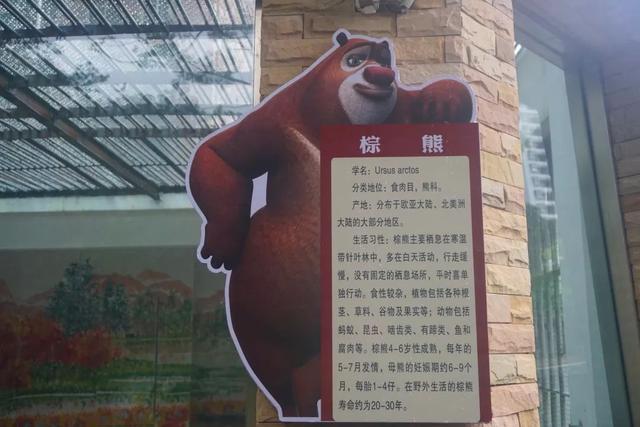 走，克个旧看熊大熊二~还有老虎、猴子、大象……攻略赶紧收下