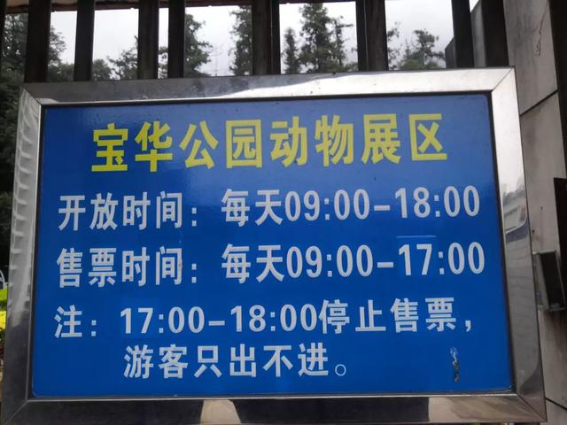 走，克个旧看熊大熊二~还有老虎、猴子、大象……攻略赶紧收下