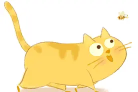 黔南的美，你可能只了解了十分之一图片