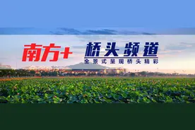 无证醉驾，撞小车还夺路狂奔，东莞一男子被刑拘图片