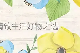 风靡亚洲的小电锅，能煮、能炒、能煎、能摊饼！图片