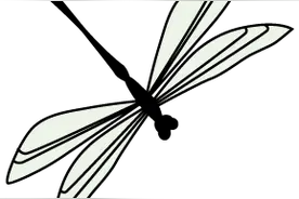 芳草百味｜香芒“有毒”？避免过敏应该这样吃~图片