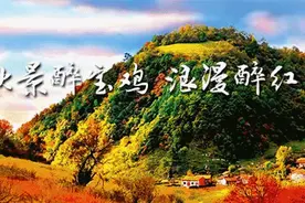 陕西凉皮“名旦”岐山擀面皮亮相西安首届凉皮美食节，瞬间底朝天图片