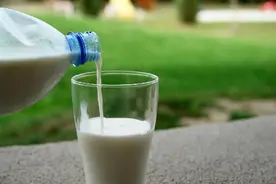 你早餐喜欢吃什么？推荐多吃以下5样食物，防癌抗癌，增强免疫力图片