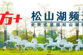 重要提醒！“五一”期间，松山湖这些地方将有交通管制图片