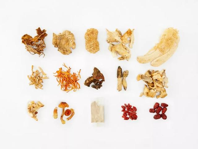 涓€鏉＄簿閫夛綔鑿岃弴鍗佷簩鐝嶏紝鏃ユ湰璧勭敓鍫傜孩缃愭姢鎵嬮湝