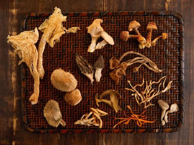 涓€鏉＄簿閫夛綔鑿岃弴鍗佷簩鐝嶏紝鏃ユ湰璧勭敓鍫傜孩缃愭姢鎵嬮湝