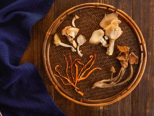 涓€鏉＄簿閫夛綔鑿岃弴鍗佷簩鐝嶏紝鏃ユ湰璧勭敓鍫傜孩缃愭姢鎵嬮湝