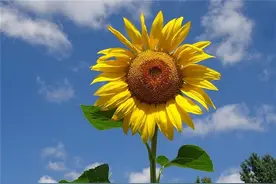 输什么都别输给心情 朋友圈里的正能量，值得收藏图片