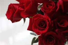 真情难遇，真心难求！千万不要弄丢一个对你好的人图片