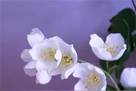 职场你要明白的真相：最不靠谱的是感情，最看重的是利益图片