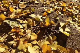 人生感悟的句子，句句激励，送给心情失落的人图片