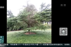 铁丝勒进树“脖子” 30多颗树木奄奄一息 谁来给它们松松绑视频封面