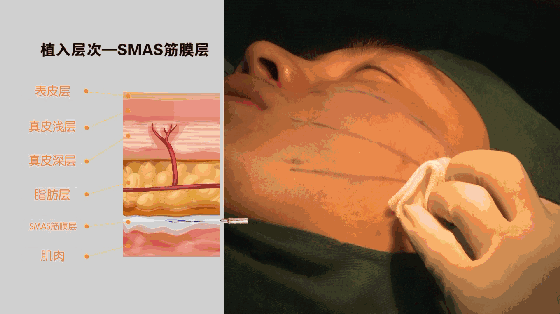 车嘉茂