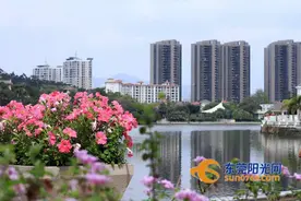 起底东莞二手房交易流程及收费图片