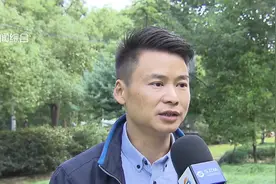 铁丝勒进树“脖子” 主干渐枯萎 原是加固方法不当所致！视频封面