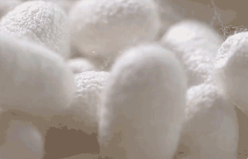 80%鐨勫绉戠柧鐥呴兘鍜屽唴瑁ゆ湁鍏筹紒铓曚笣鍐呰￥鍛婂埆涓嶉€? onerror=