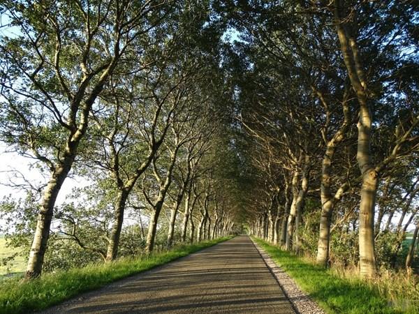 最顶级的心理学家是如何看待人生的