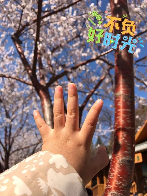 最适合发说说的励志句子，霸气有魄力，激发你的斗志