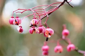 一生平淡无奇，偏偏遇了你，我的心便波澜四起！图片