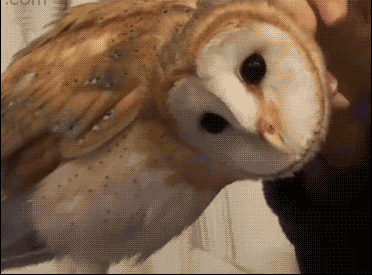 「荐读」这40个冷知识，据说只有1%的人知道，颠覆认知！