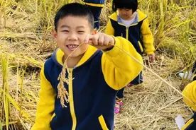 浦江县大畈乡中心幼儿园播报丨秋风润农田 秋意入童心图片