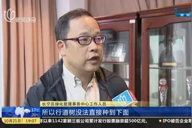 如何解决？树池占据大半人行道 过路市民很不理解！视频封面