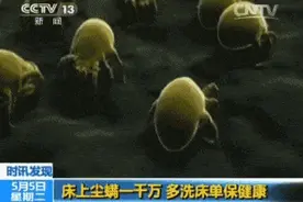 蚕丝被真的不敢再盖了？长期盖蚕丝被夫妻俩发生了惊人的变化图片