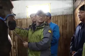吴京走进内蒙古调研马产业 毛遂自荐为“骏马计划”代言视频封面