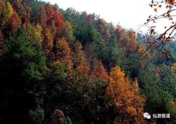 仙游蜚山红叶 美醉了的南国秋色