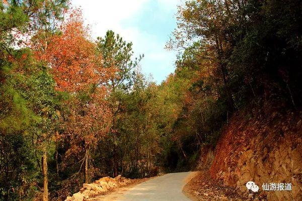 仙游蜚山红叶 美醉了的南国秋色