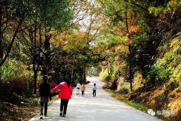 仙游蜚山红叶 美醉了的南国秋色