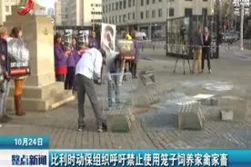 比利时动保组织呼吁禁止使用笼子饲养家禽家畜